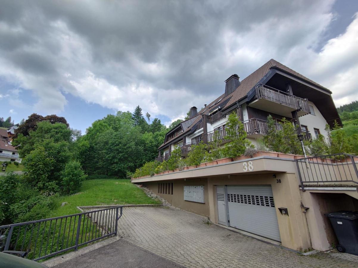 Black Forest Living - Todtnauberg Apartment Luaran gambar