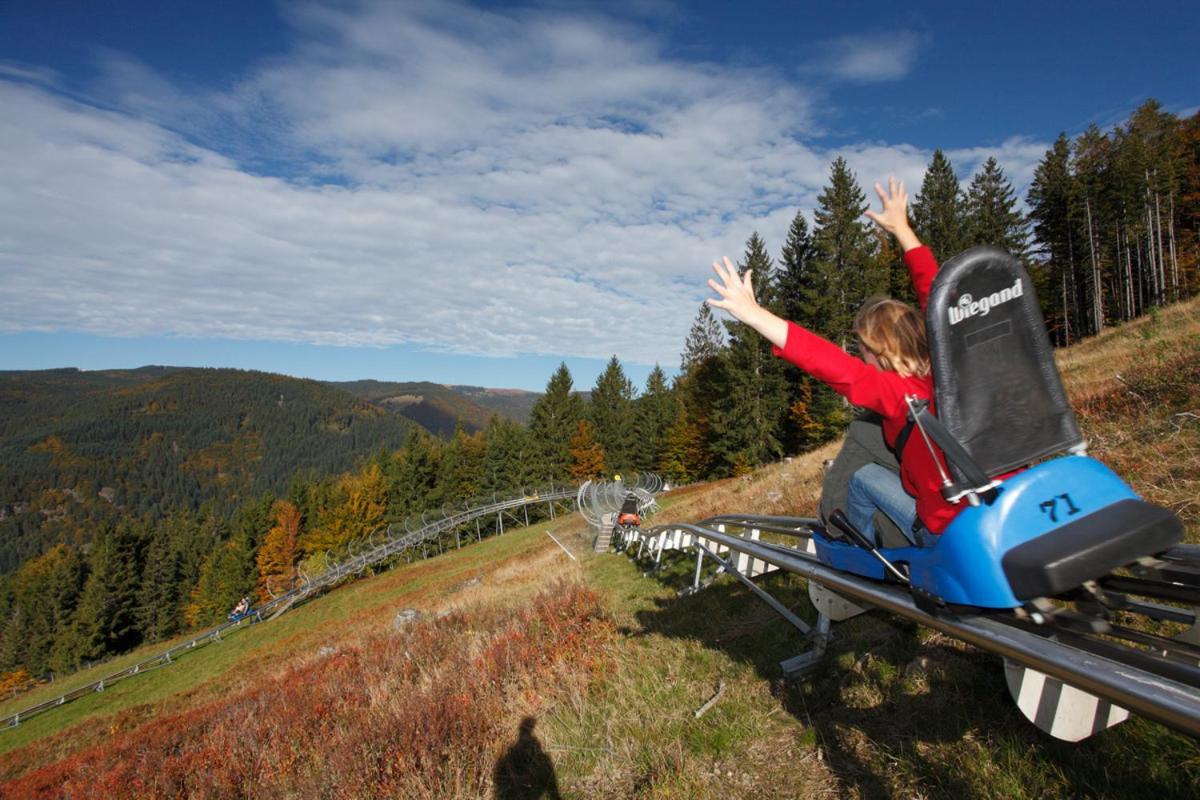 Black Forest Living - Todtnauberg Apartment Luaran gambar
