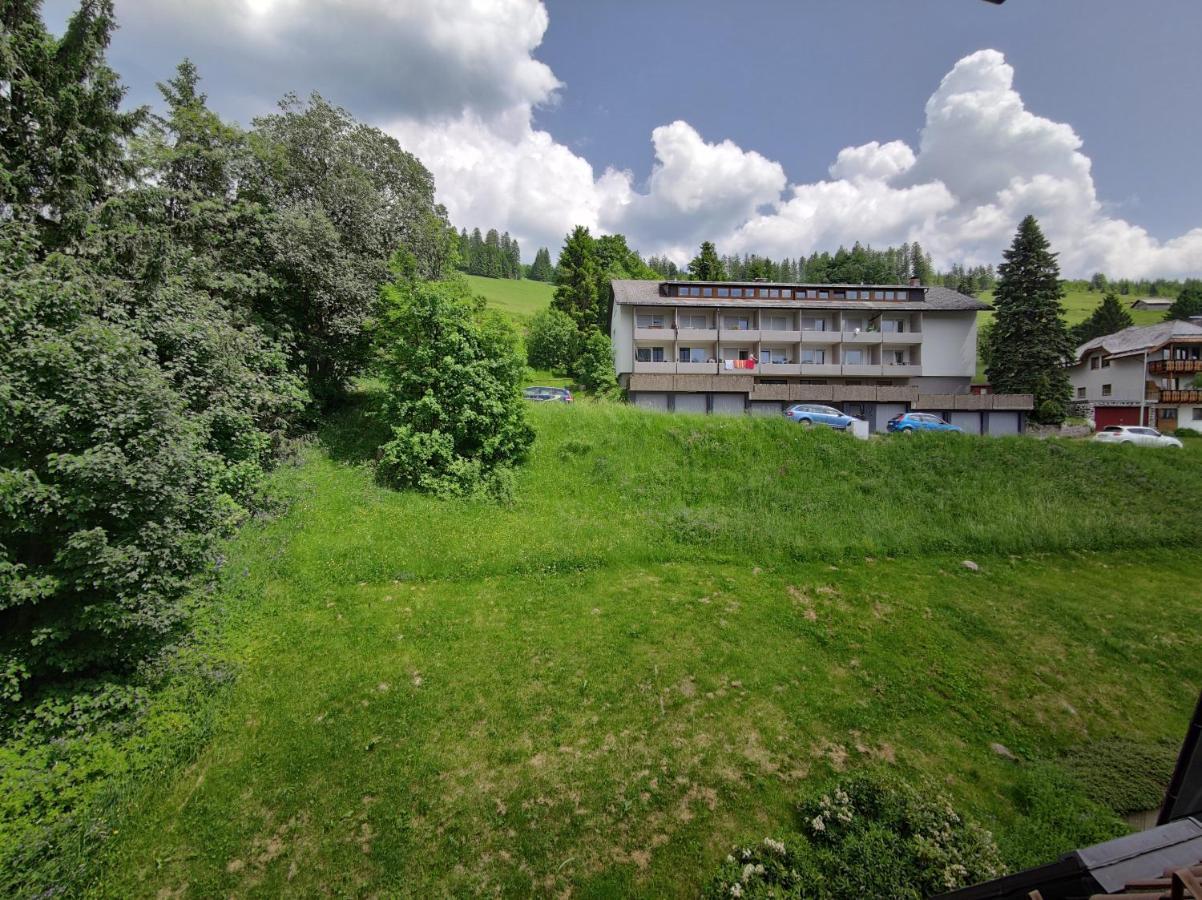 Black Forest Living - Todtnauberg Apartment Luaran gambar